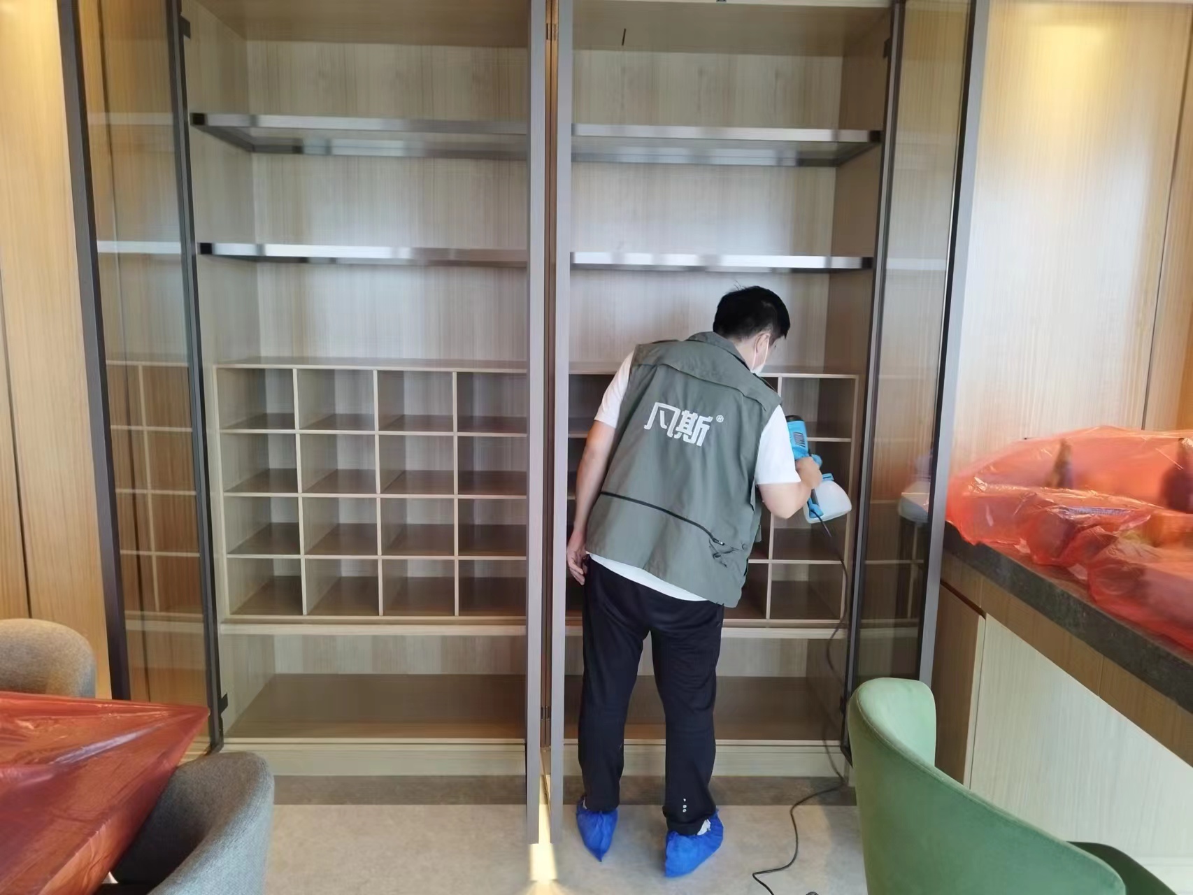 家里綠植的選購(gòu)技巧，凈化室內(nèi)空氣